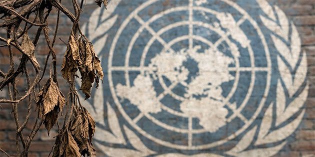 The UN’s Withering Vine: A US Retreat from Global Governance