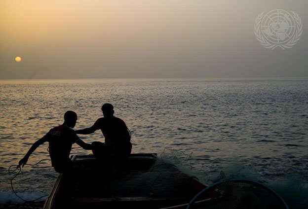 World’s Oceans Hit Record Heat in 2025, at Great Economic and Social Costs