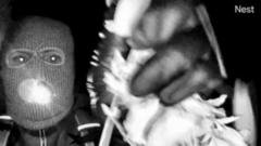 FBI releases images of masked person in hunt for Savannah Guthrie’s mother